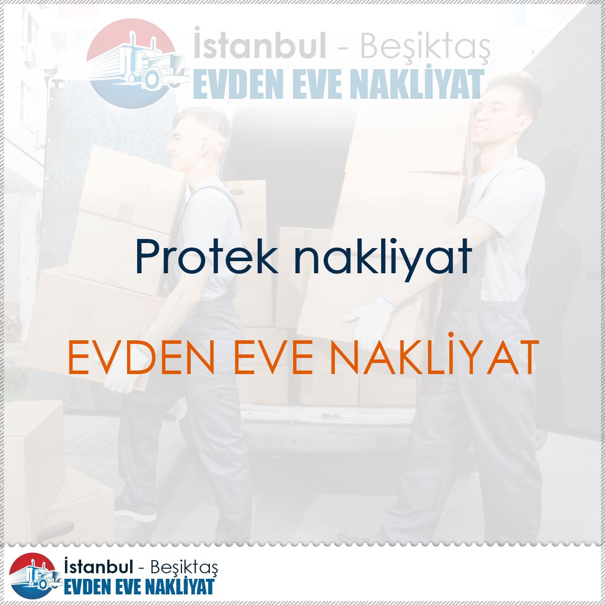 Protek nakliyat logo