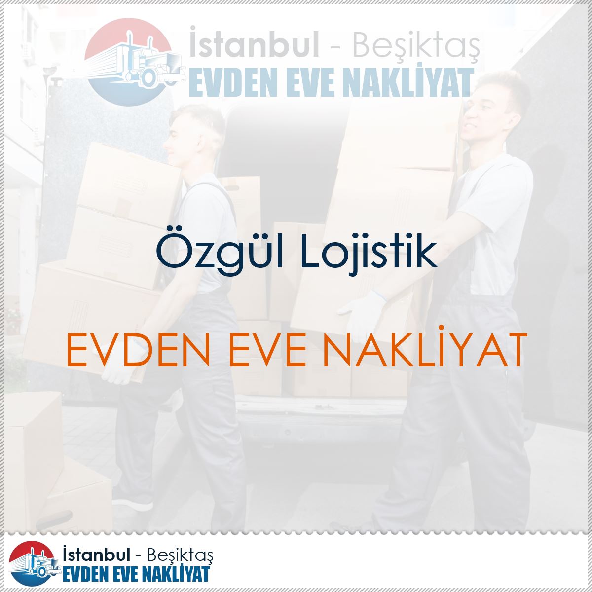 Özgül Lojistik : Kapak Görseli